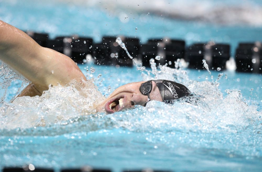 Iowa's Mateusz Arndt swims the 500-yard freestyle during the bonus finals of the second day at the 2019 Big Ten Swimming and Diving Championships Thursday, February 28, 2019 at the Campus Wellness and Recreation Center. (Brian Ray/hawkeyesports.com)