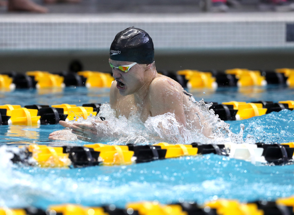 Iowa's Anze Fers Erzen competes in the 400-yard IM on the third day at the 2019 Big Ten Swimming and Diving Championships Thursday, February 28, 2019 at the Campus Wellness and Recreation Center. (Brian Ray/hawkeyesports.com)