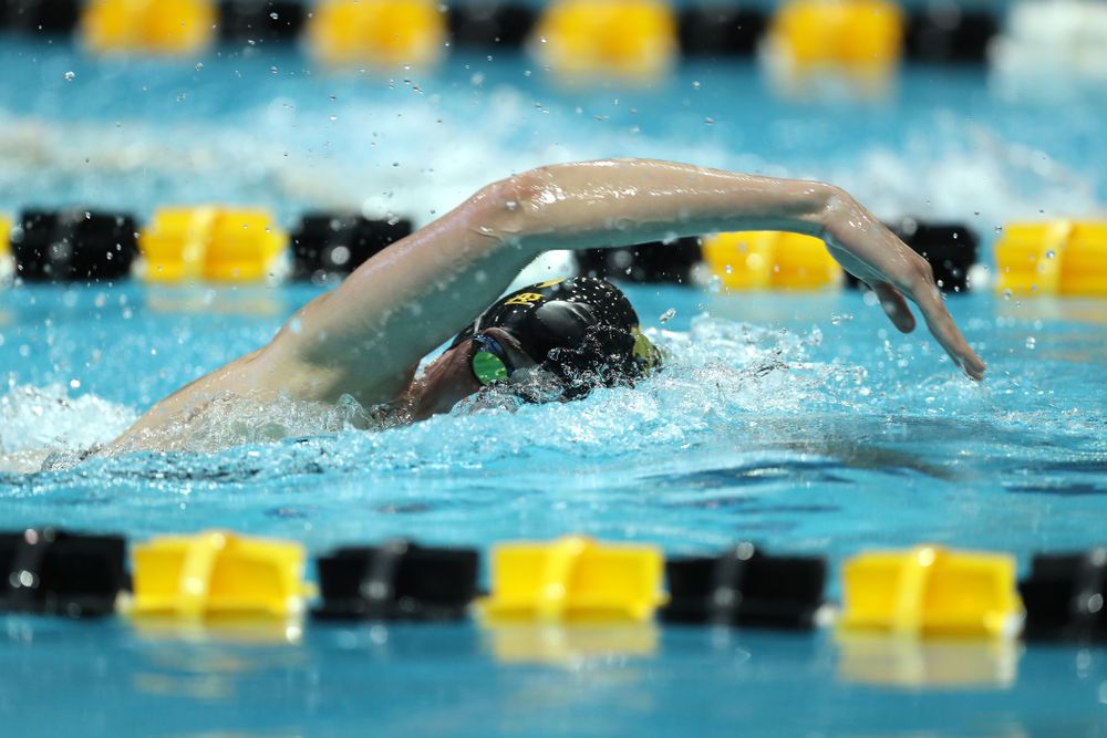 Iowa's Allyssa Fluit swims the 500 yard freestyle Thursday, November 15, 2018 during the 2018 Hawkeye Invitational at the Campus Recreation and Wellness Center. (Brian Ray/hawkeyesports.com)