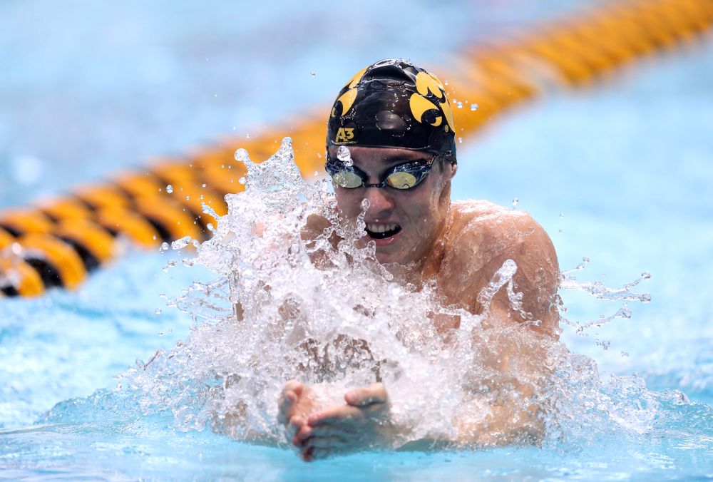 Iowa's Daniel Swanepoel competes in the 200-yard breaststroke during the 2019 Big Ten Men's Swimming and Diving Championships Saturday, March 2, 2019 at the Campus Wellness and Recreation Center. (Brian Ray/hawkeyesports.com)
