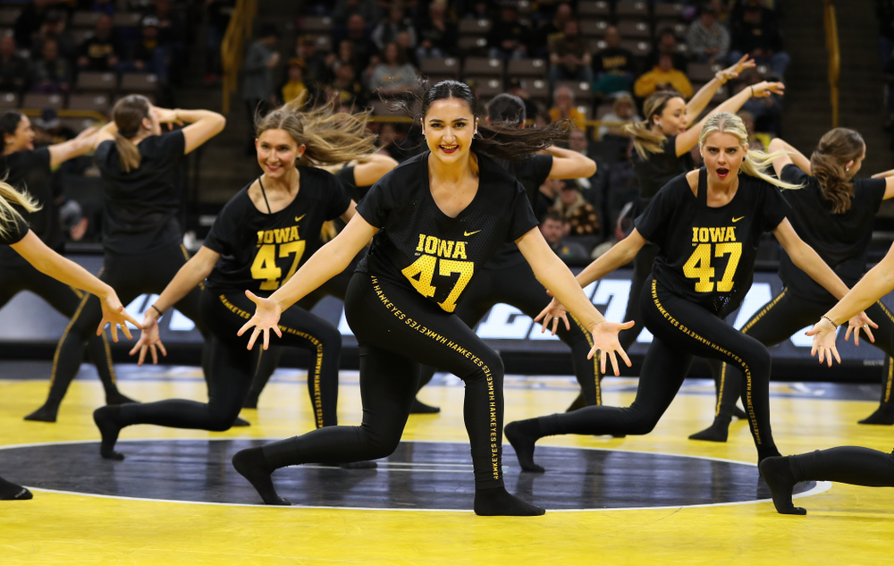 The Iowa Dance Team performs at the intermission of the Iowa Hawkeyes match against Purdue Saturday, November 24, 2018 at Carver-Hawkeye Arena. (Brian Ray/hawkeyesports.com)