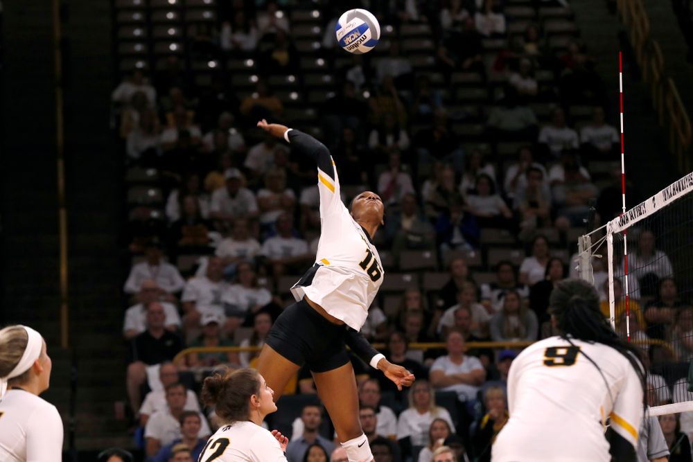 Iowa Hawkeyes outside hitter Taylor Louis (16) against the Michigan State Spartans Friday, September 21, 2018 at Carver-Hawkeye Arena. (Brian Ray/hawkeyesports.com)
