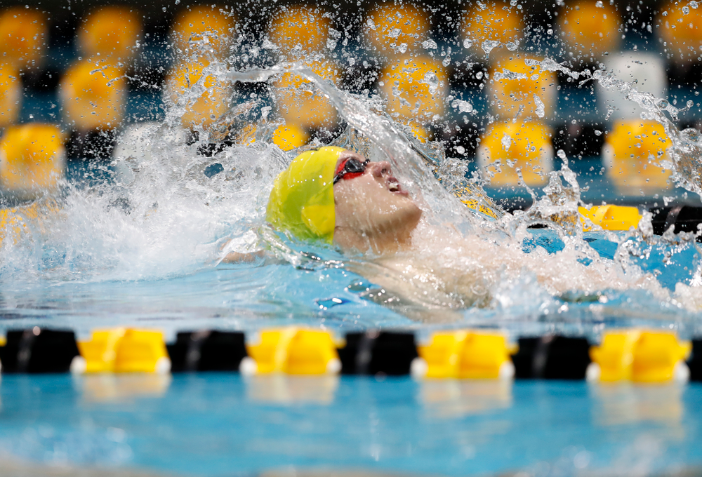 Anze Fers Erzen swims the backstroke leg of the 200 yard medley relay during the Black and Gold Intrasquad Saturday, September 29, 2018 at the Campus Recreation and Wellness Center. (Brian Ray/hawkeyesports.com)
