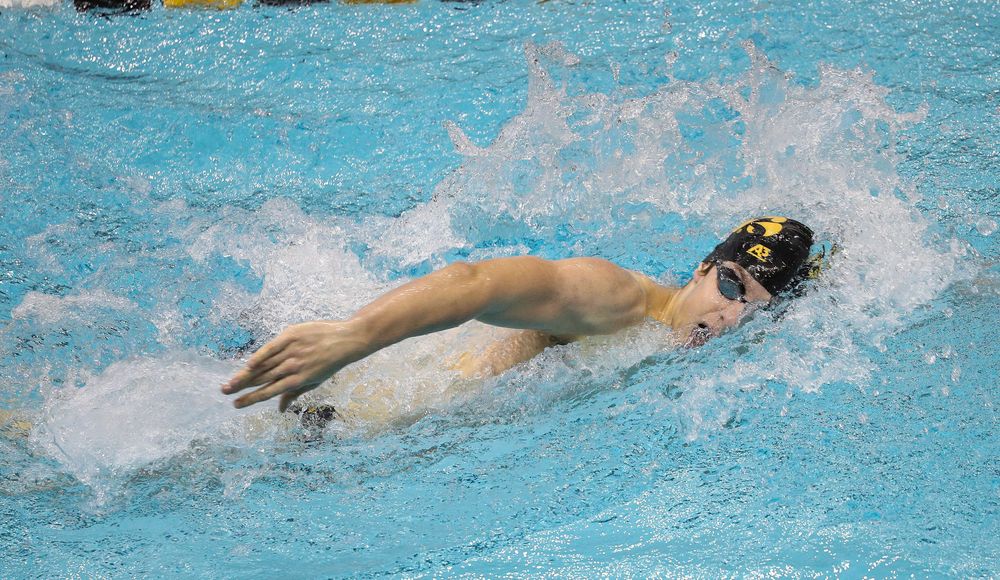 Iowa's Jackson Allmon competes in the 500-yard freestyle during a meet against Michigan and Denver at the Campus Recreation and Wellness Center on November 3, 2018. (Tork Mason/hawkeyesports.com)