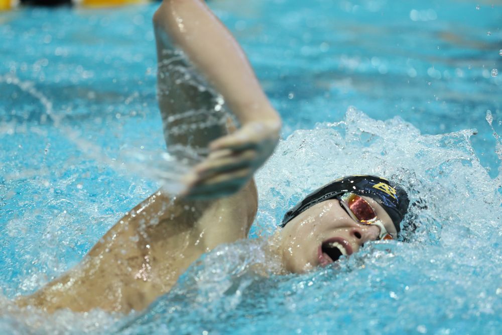 Iowa's Andrew Fierke swims the 500 yard freestyle Thursday, November 15, 2018 during the 2018 Hawkeye Invitational at the Campus Recreation and Wellness Center. (Brian Ray/hawkeyesports.com)