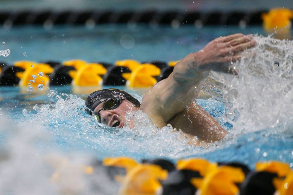Iowa's Anze Fers Erzan team at the 200-yard backstroke race Saturday, March 2, 2019 at the Campus Recreation and Wellness Center. (Lily Smith/hawkeyesports.com)