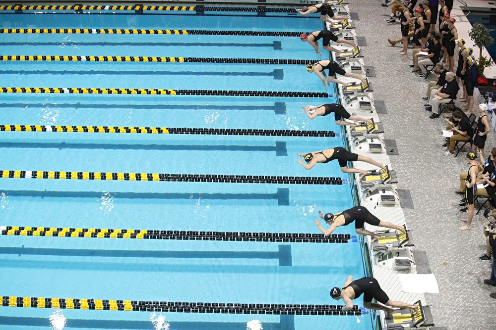 Iowa’s Hannah Burvill dives into the pool to start off the 800 yard freestyle relay event during the 2020 Big Ten Women’s Swimming and Diving Championships at the Campus Recreation and Wellness Center in Iowa City on Wednesday, February 19, 2020. (Stephen Mally/hawkeyesports.com)