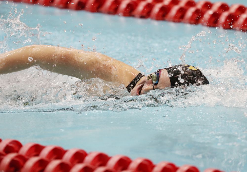 Iowa's Abbegayle Schneider swims the 500-yard freestyle during the 2019 Women's Big Ten Swimming and Diving meet Thursday, February 21, 2019 in Bloomington, Indiana. (Brian Ray/hawkeyesports.com)