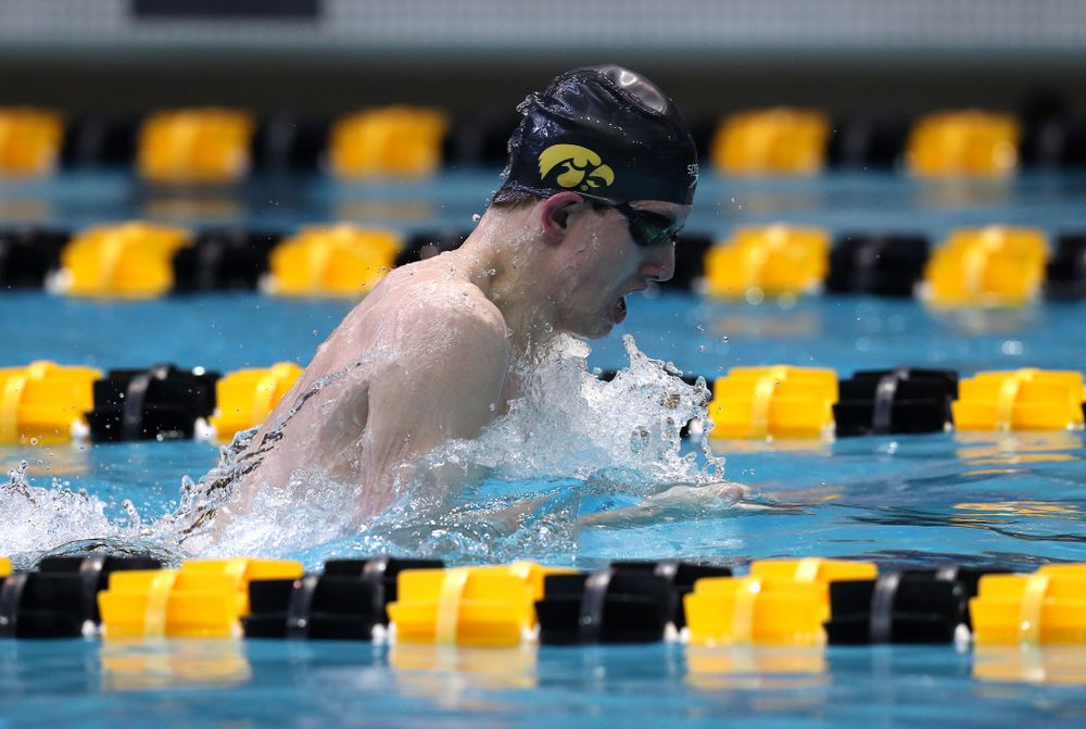 Iowa's Dolan Craine competes in the 200-yard breaststroke during the 2019 Big Ten Men's Swimming and Diving Championships Saturday, March 2, 2019 at the Campus Wellness and Recreation Center. (Brian Ray/hawkeyesports.com)