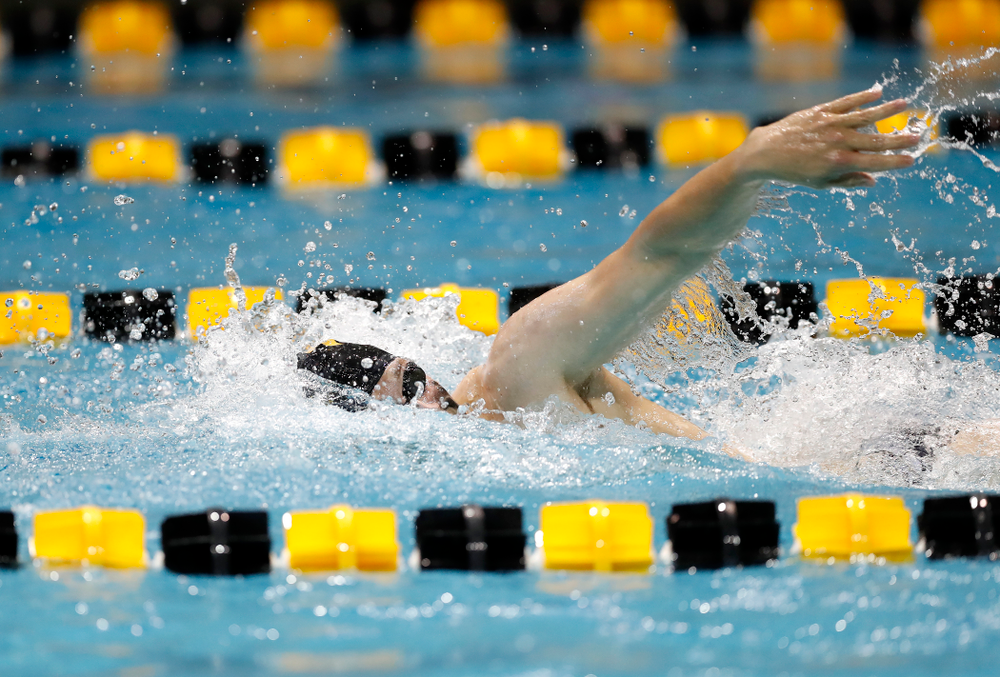 Ben Colin swims the 200 yard freestyle during the Black and Gold Intrasquad Saturday, September 29, 2018 at the Campus Recreation and Wellness Center. (Brian Ray/hawkeyesports.com)
