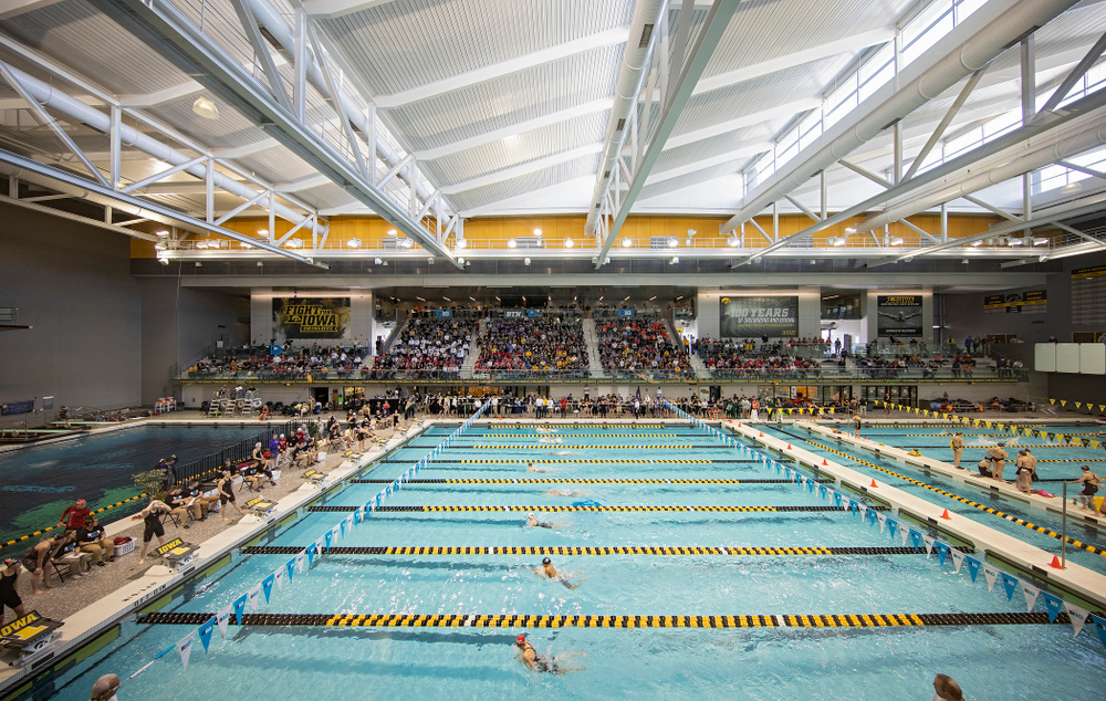 The women’s 200 yard breaststroke preliminary event during the 2020 Women’s Big Ten Swimming and Diving Championships at the Campus Recreation and Wellness Center in Iowa City on Saturday, February 22, 2020. (Stephen Mally/hawkeyesports.com)