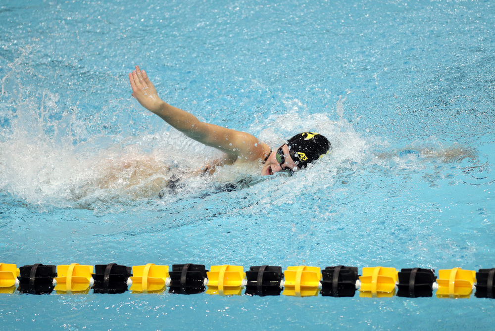 IowaÕs Ariel Wooden swims the 100 yard freestyle against the Michigan Wolverines Friday, November 1, 2019 at the Campus Recreation and Wellness Center. (Brian Ray/hawkeyesports.com)