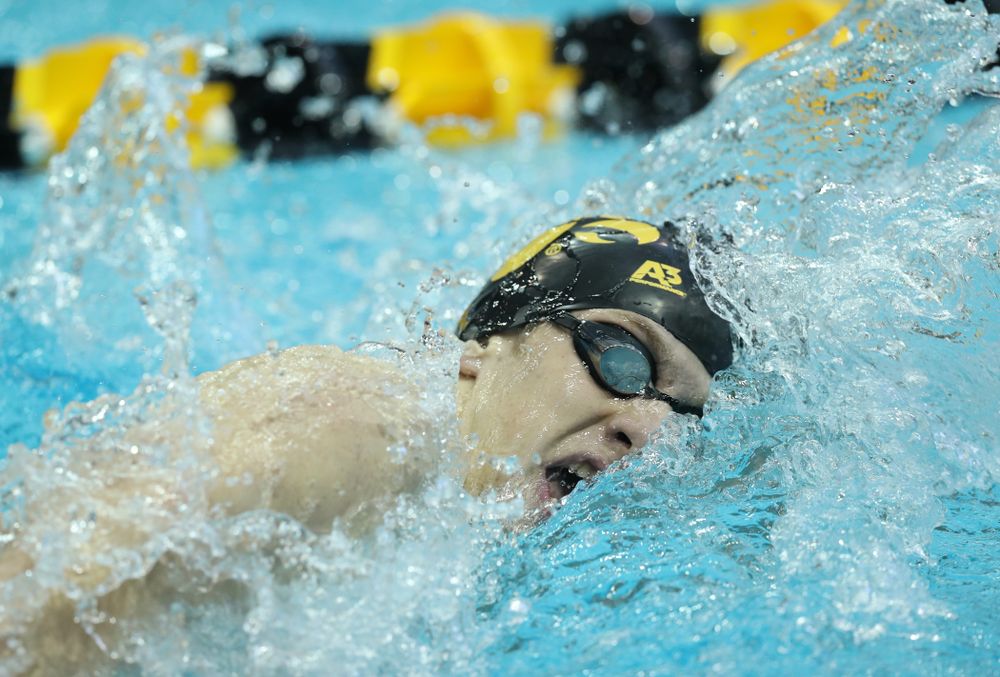 Iowa's Jackson Allmon swims the 500 yard freestyle Thursday, November 15, 2018 during the 2018 Hawkeye Invitational at the Campus Recreation and Wellness Center. (Brian Ray/hawkeyesports.com)