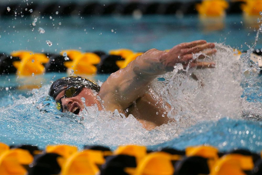 Iowa's Anze Fers Erzan team at the 200-yard backstroke race Saturday, March 2, 2019 at the Campus Recreation and Wellness Center. (Lily Smith/hawkeyesports.com)