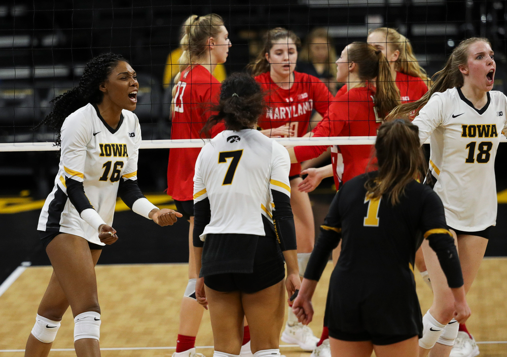 Iowa Hawkeyes outside hitter Taylor Louis (16) celebrates after winning a point during a match against Maryland at Carver-Hawkeye Arena on November 23, 2018. (Tork Mason/hawkeyesports.com)