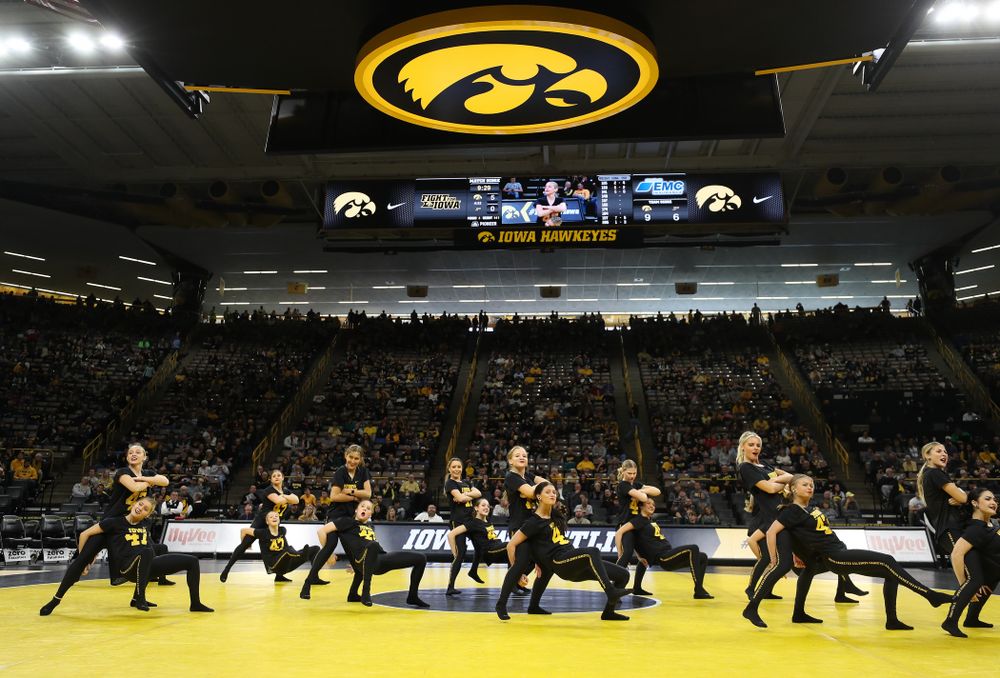 The Iowa Dance Team performs at the intermission of the Iowa Hawkeyes match against Purdue Saturday, November 24, 2018 at Carver-Hawkeye Arena. (Brian Ray/hawkeyesports.com)