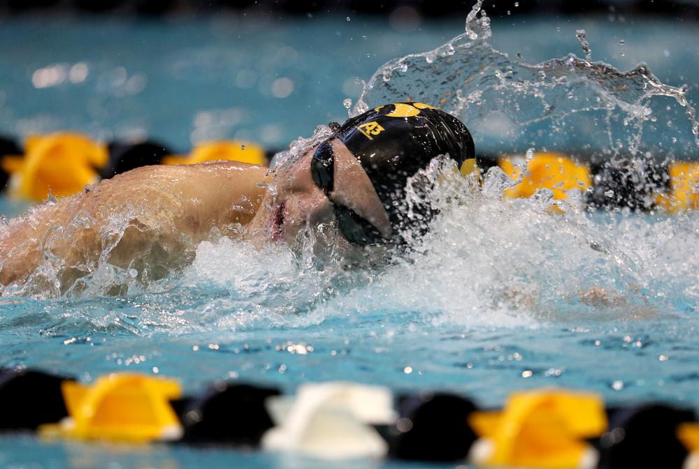Iowa's Forrest White swims the 200 yard freestyle during a double dual against Wisconsin and Northwestern Saturday, January 19, 2019 at the Campus Recreation and Wellness Center. (Brian Ray/hawkeyesports.com)