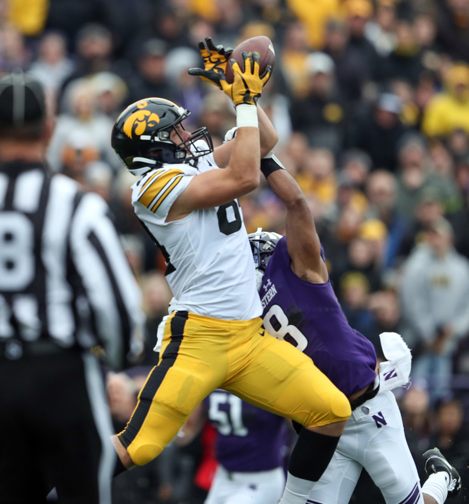 Iowa Hawkeyes tight end Sam LaPorta (84) against the Northwestern Wildcats Saturday, October 26, 2019 at Ryan Field in Evanston, Ill. (Brian Ray/hawkeyesports.com)