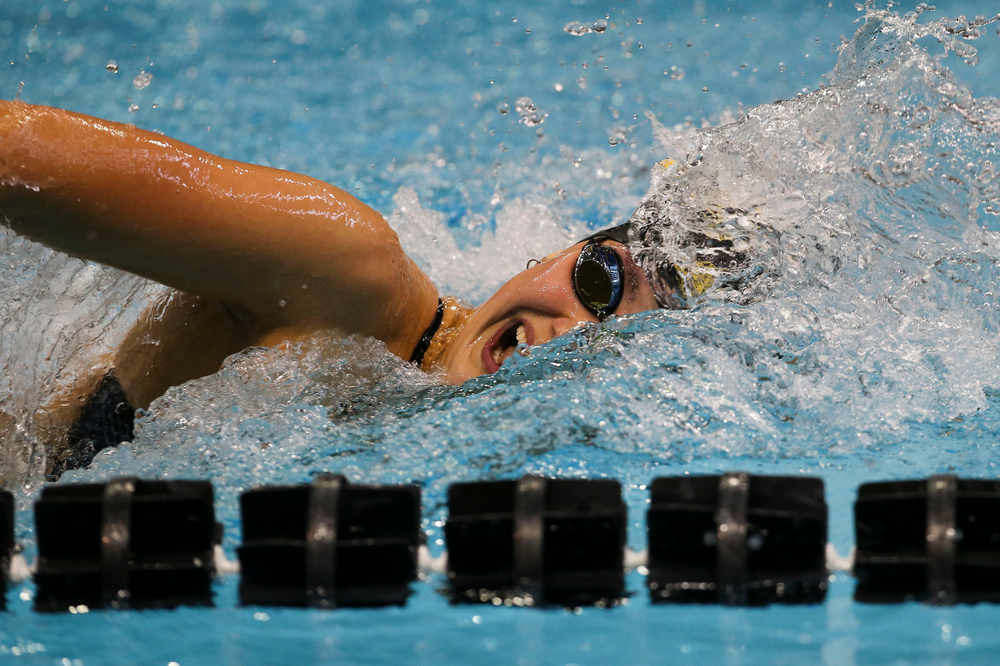 Iowa’s Hannah Burvill during Iowa swim and dive vs Minnesota on Saturday, October 26, 2019 at the Campus Wellness and Recreation Center. (Lily Smith/hawkeyesports.com)