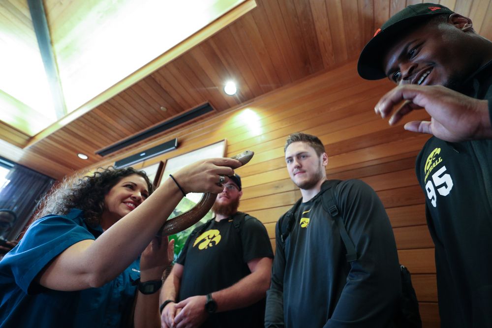Iowa Hawkeyes offensive lineman Landan Paulsen (68), offensive lineman Levi Paulsen (66), linebacker Nick Niemann (49), and defensive lineman Cedrick Lattimore (95) check out a legless lizard during a trip to the San Diego Zoo Wednesday, December 25, 2019 in San Diego. (Brian Ray/hawkeyesports.com)