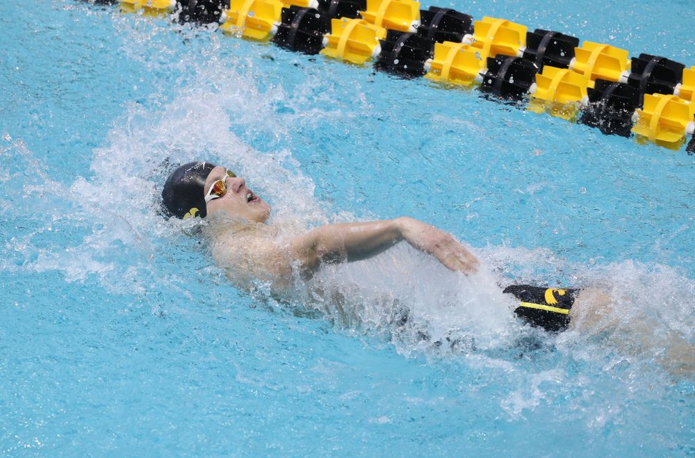 Iowa's Anze Fers Erzen competes in the 200-yard backstroke during the 2019 Big Ten Men's Swimming and Diving Championships Saturday, March 2, 2019 at the Campus Wellness and Recreation Center. (Brian Ray/hawkeyesports.com)