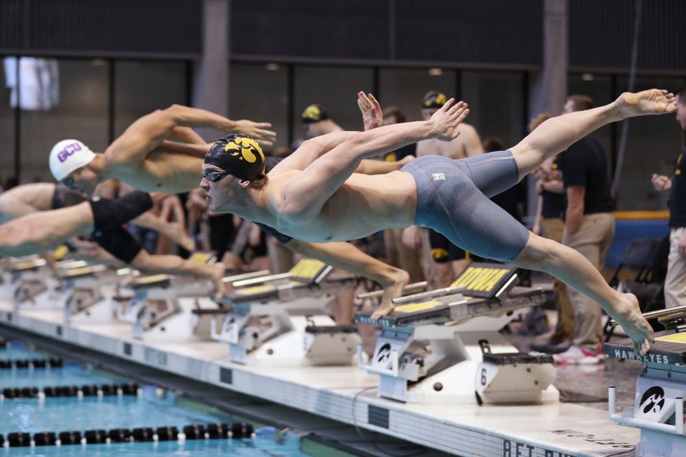 Iowa's Caleb Babb swims the 50 yard freestyle Thursday, November 15, 2018 during the 2018 Hawkeye Invitational at the Campus Recreation and Wellness Center. (Brian Ray/hawkeyesports.com)
