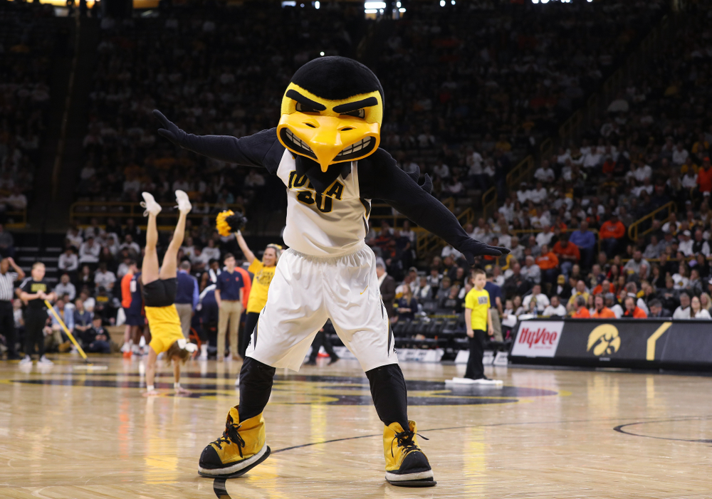 Herky The Hawk as the Iowa Hawkeyes take on the Illinois Fighting Illini Sunday, January 20, 2019 at Carver-Hawkeye Arena. (Brian Ray/hawkeyesports.com)