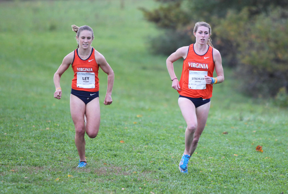 Cross Country at Panorama Farms (by Matt Riley) – Virginia ...