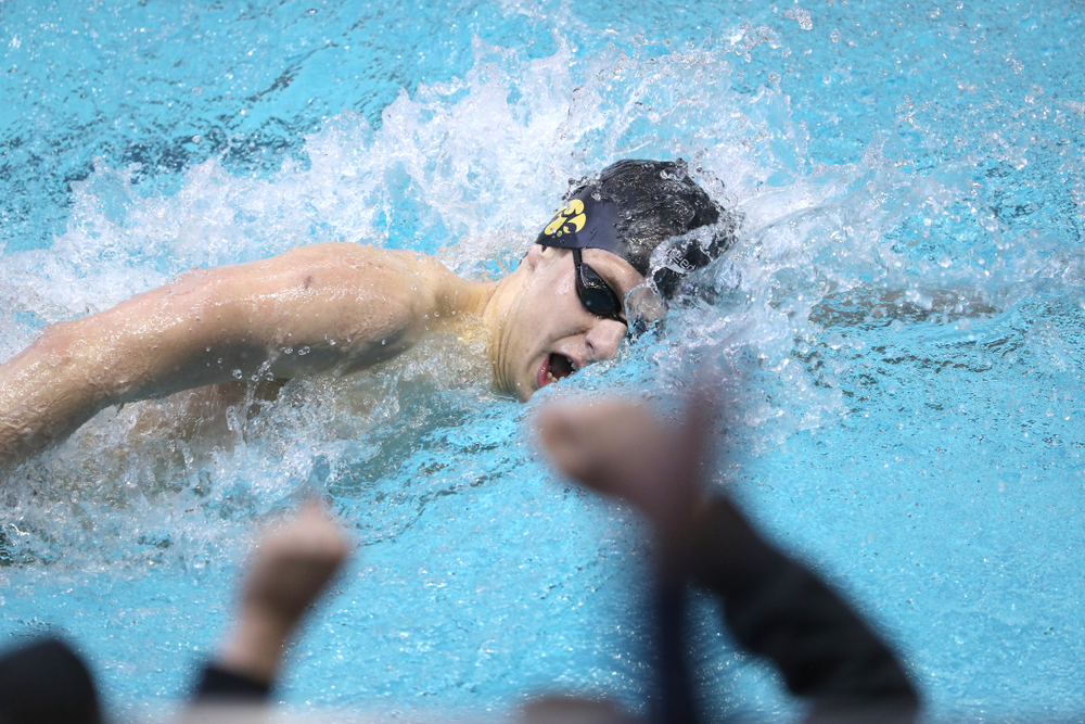 Iowa's Jackson Allmon swims in the preliminaries of the 500-yard freestyle during the 2019 Big Ten Swimming and Diving Championships Thursday, February 28, 2019 at the Campus Wellness and Recreation Center. (Brian Ray/hawkeyesports.com)