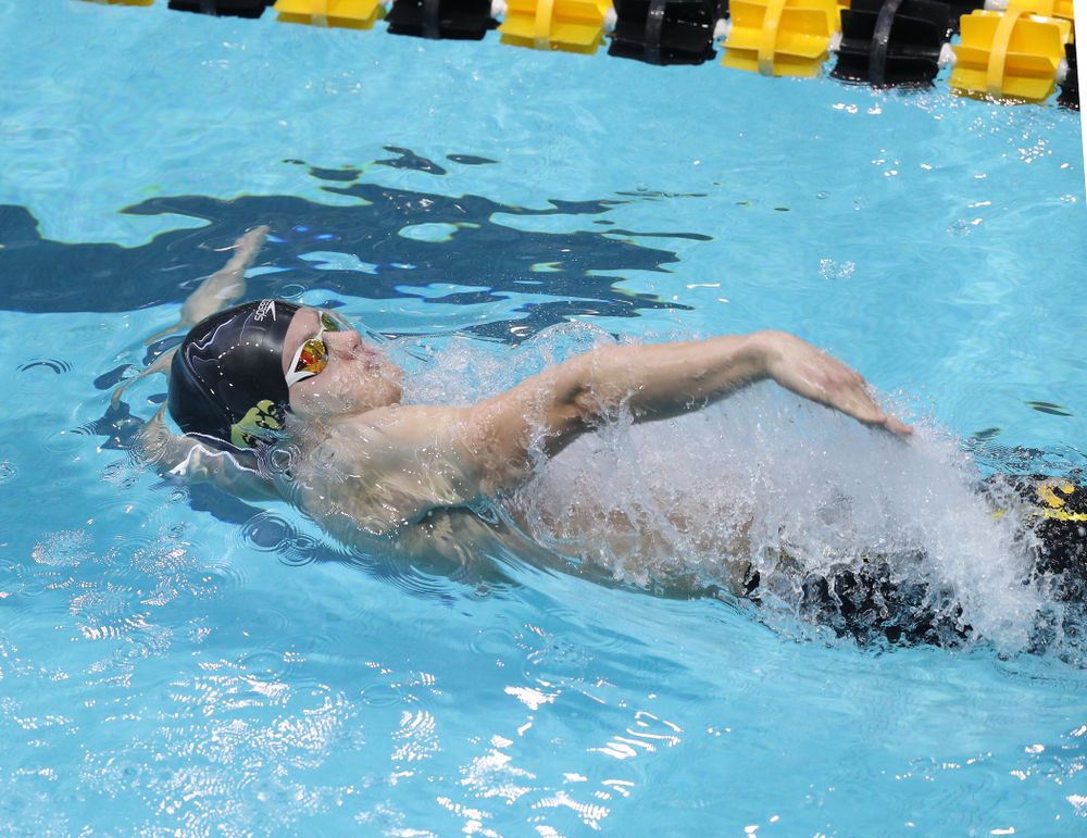 Iowa's Anze Fers Erzen competes in the 200-yard backstroke during the 2019 Big Ten Men's Swimming and Diving Championships Saturday, March 2, 2019 at the Campus Wellness and Recreation Center. (Brian Ray/hawkeyesports.com)