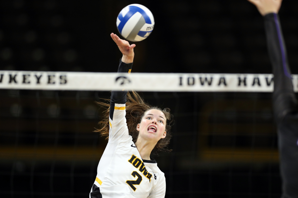 Iowa Hawkeyes setter Courtney Buzzerio (2) against Lipscomb Friday, September 20, 2019 at Carver-Hawkeye Arena. (Brian Ray/hawkeyesports.com)