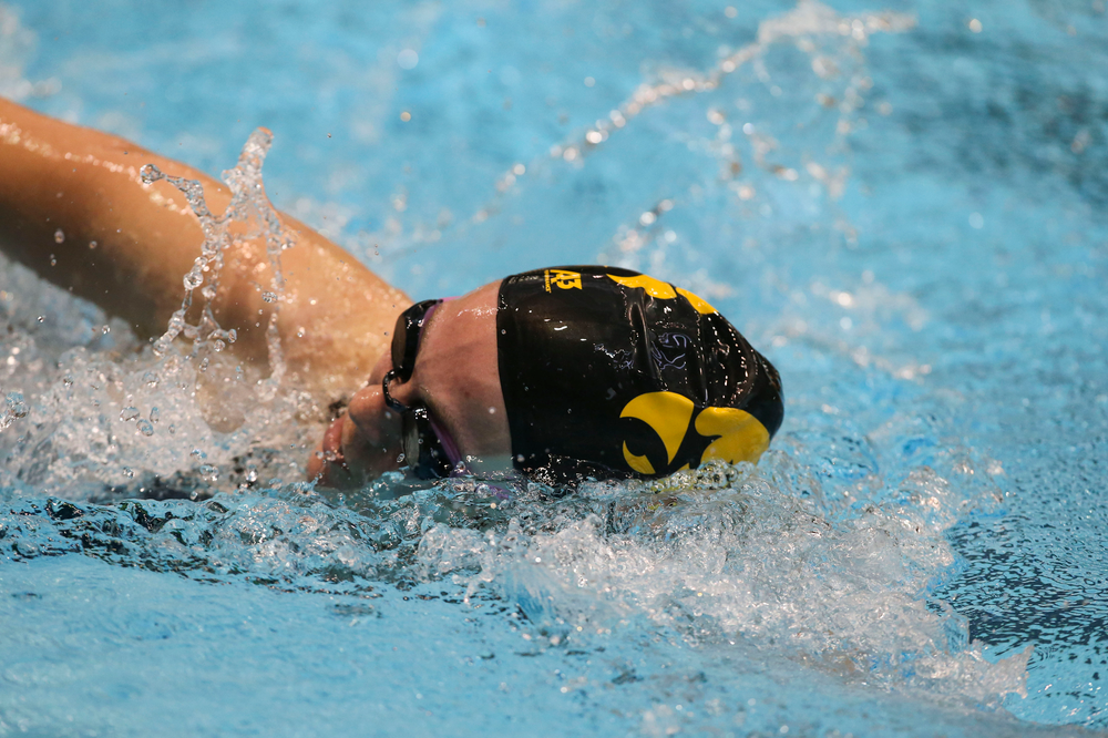 during Iowa swim and dive vs Minnesota on Saturday, October 26, 2019 at the Campus Wellness and Recreation Center. (Lily Smith/hawkeyesports.com)