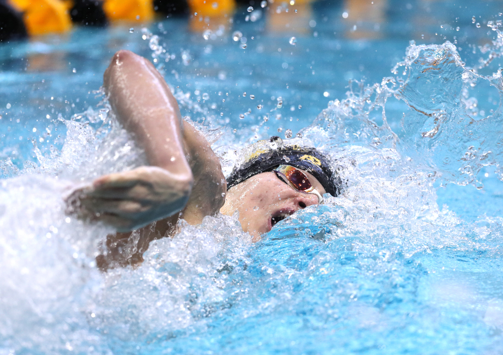 Iowa's Andrew Fierke competes in the 200-yard freestyle on the third day at the 2019 Big Ten Swimming and Diving Championships Thursday, February 28, 2019 at the Campus Wellness and Recreation Center. (Brian Ray/hawkeyesports.com)