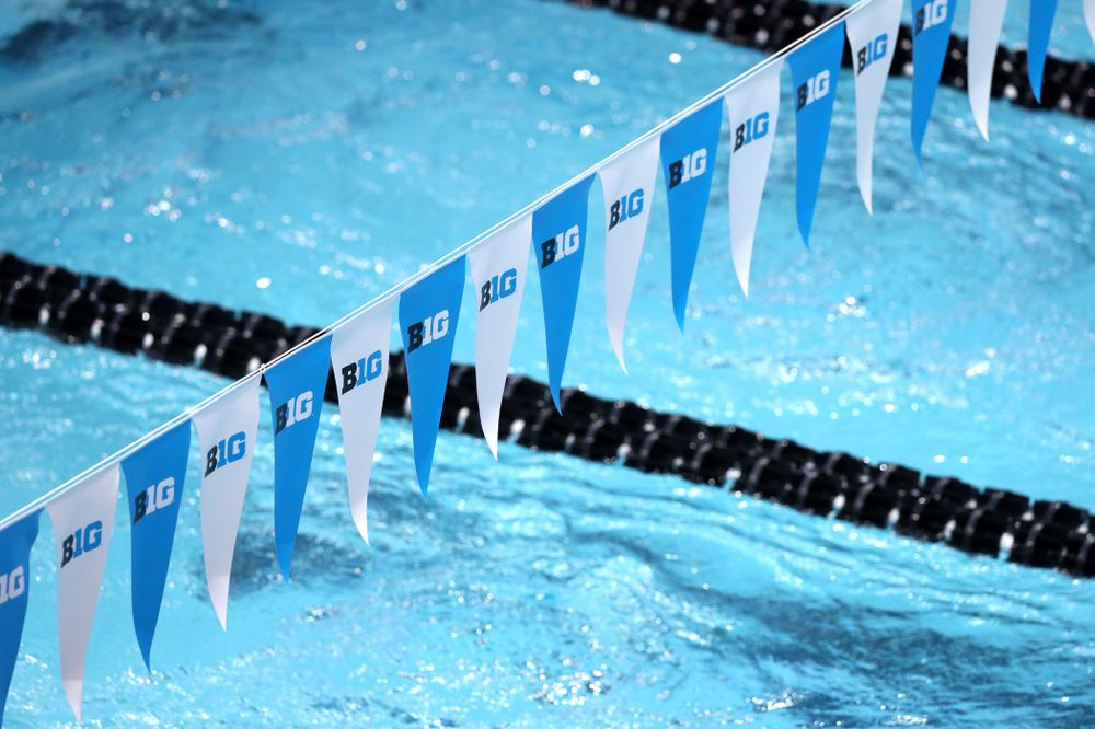 Iowa's Anze Fers Erzen competes in the 200-yard backstroke during the 2019 Big Ten Men's Swimming and Diving Championships Saturday, March 2, 2019 at the Campus Wellness and Recreation Center. (Brian Ray/hawkeyesports.com)