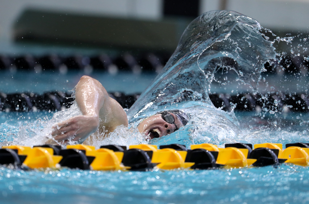 Iowa's Mateusz Arndt swims in the preliminaries of the 500-yard freestyle during the 2019 Big Ten Swimming and Diving Championships Thursday, February 28, 2019 at the Campus Wellness and Recreation Center. (Brian Ray/hawkeyesports.com)