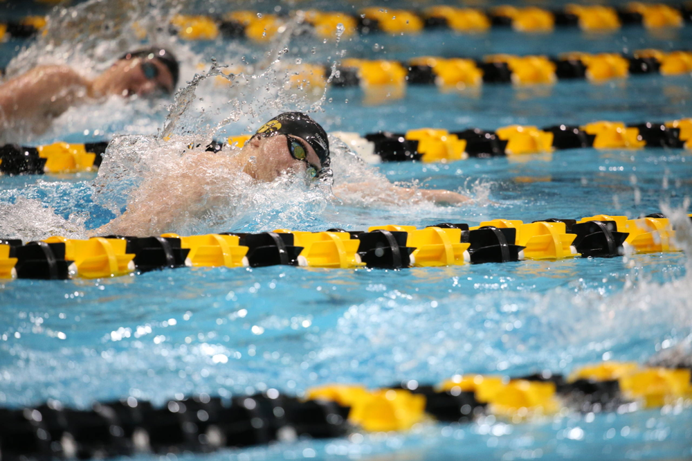 Iowa's Aleksey Tarasenko at the 200-yard freestyle race Friday, March 1, 2019 at the Campus Recreation and Wellness Center. (Lily Smith/hawkeyesports.com)