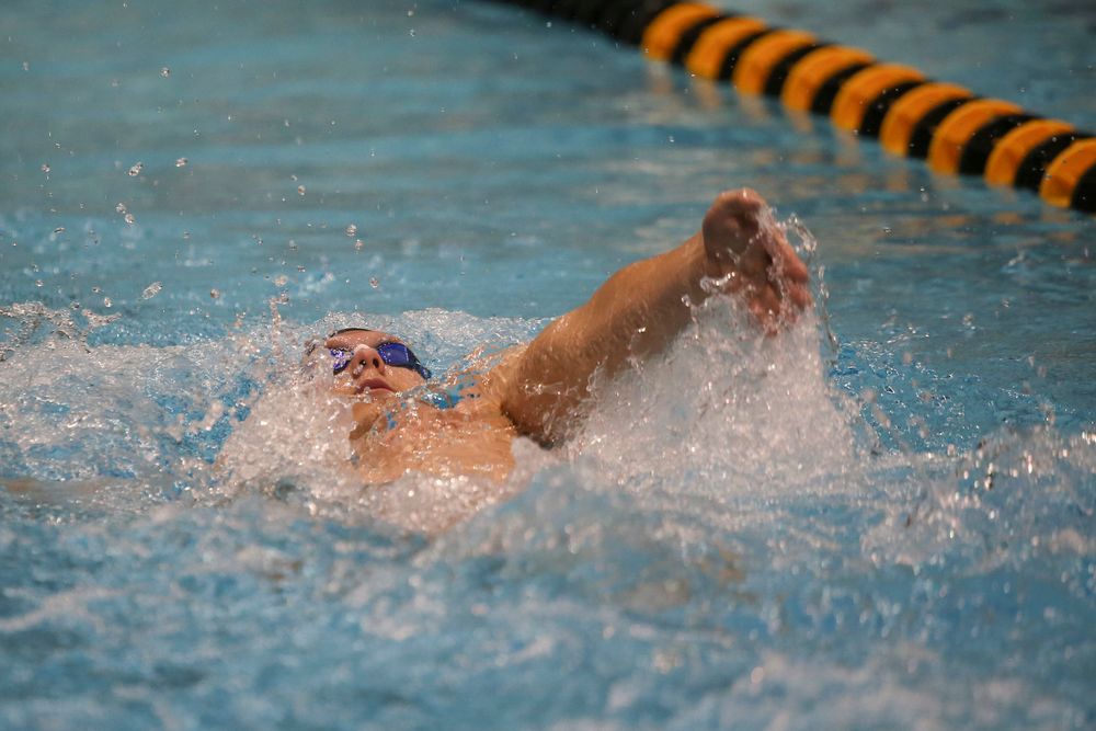 Iowa’s Forrest White swims the 200-yard backstroke during the Iowa swimming and diving meet vs Notre Dame and Illinois on Saturday, January 11, 2020 at the Campus Recreation and Wellness Center. (Lily Smith/hawkeyesports.com)