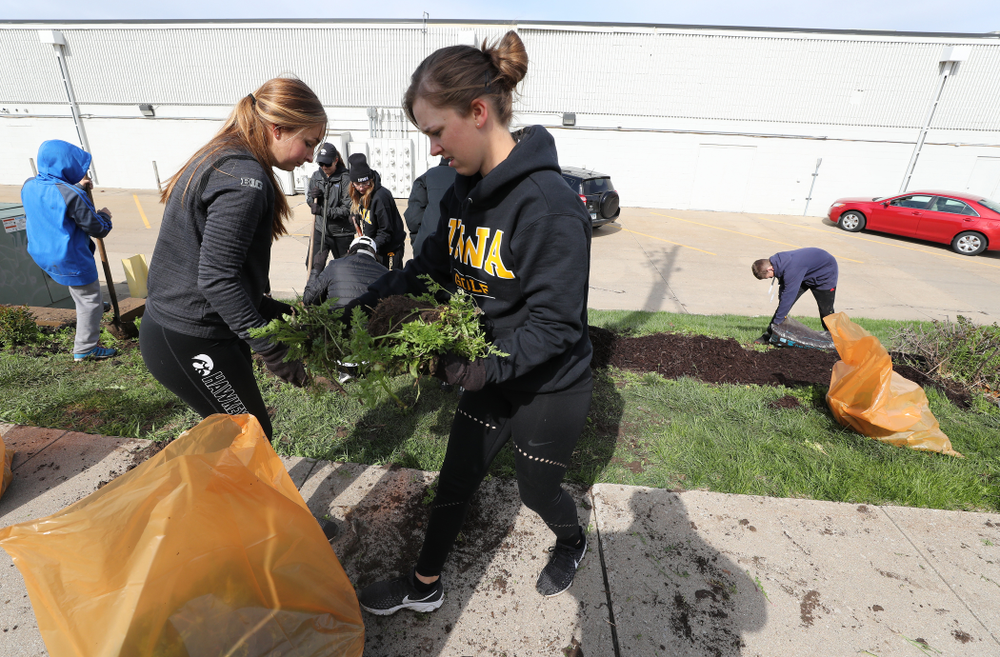 Members of the WomenÕs Golf team volunteer with the South District Neighborhood Clean-up during the annual Iowa Athletics Day of Caring Sunday, April 28, 2019 in Iowa City. (Brian Ray/hawkeyesports.com)