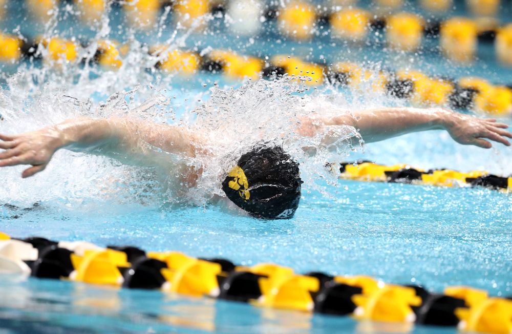 Iowa's Michal Brzus swims the butterfly leg of the 200-yard medley relay at the 2019 Big Ten Swimming and Diving meet Wednesday, February 27, 2019 at the Campus Wellness and Recreation Center. (Brian Ray/hawkeyesports.com)