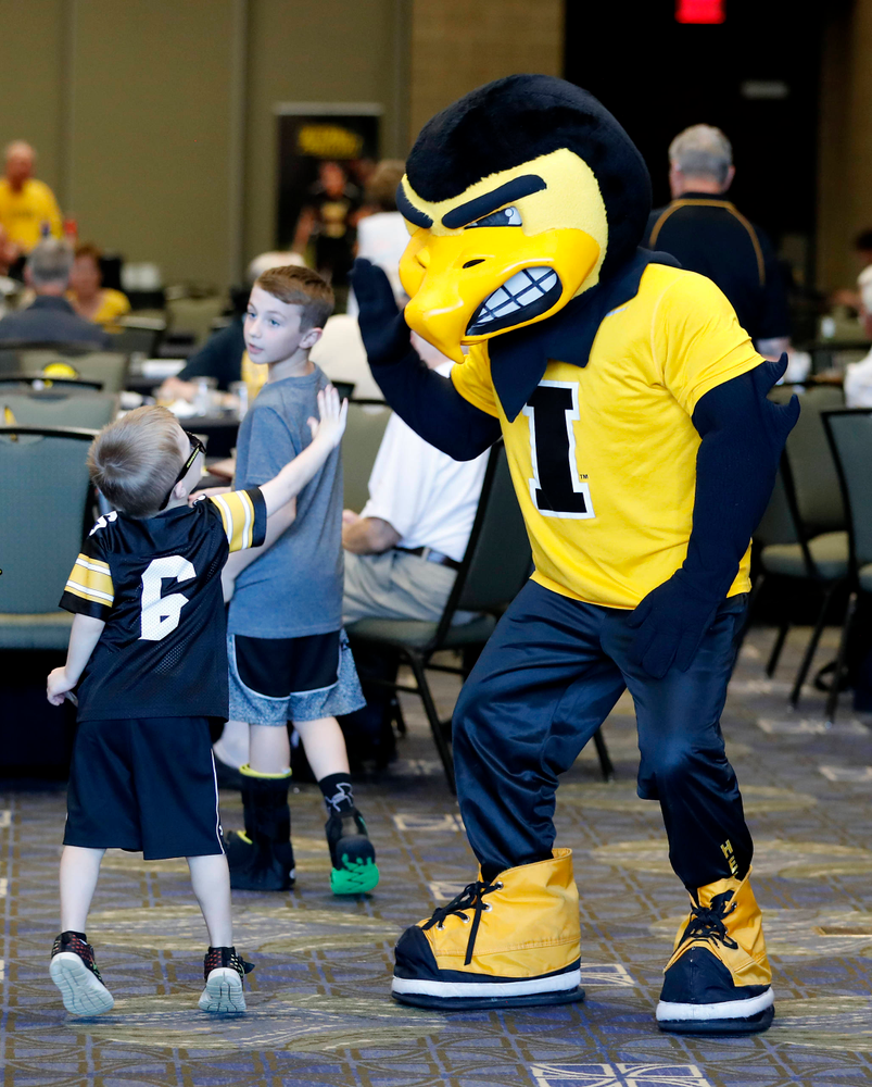 Herky the Hawk -- Hawkeye Fan Event at the Quad-Cities Waterfront Convention Center in Bettendorf, Iowa, on May 15, 2019.